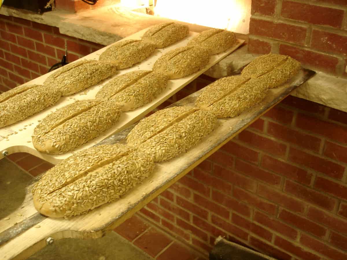 Loaves of sunflower whole-wheat are scored and ready to load into the oven