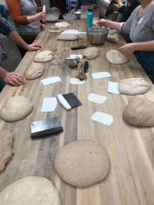 Shaping Loaves
